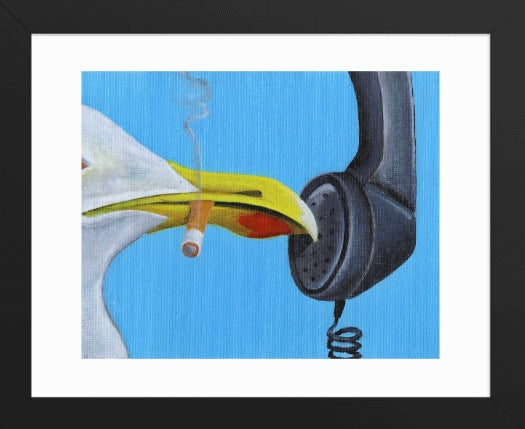 'Gull Affair'